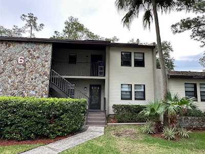 1000 Tarpon Woods Blvd #605 Palm Harbor, FL 34685