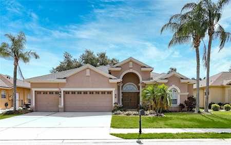 1606 Daylily Dr Trinity, FL 34655