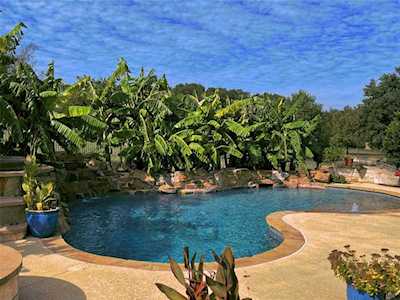 1631 Hawthorne LOOP Driftwood, TX 78619