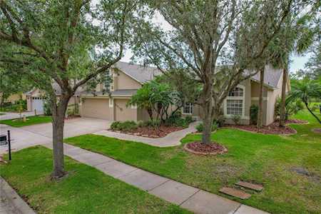 19021 Dove Creek Dr Tampa, FL 33647