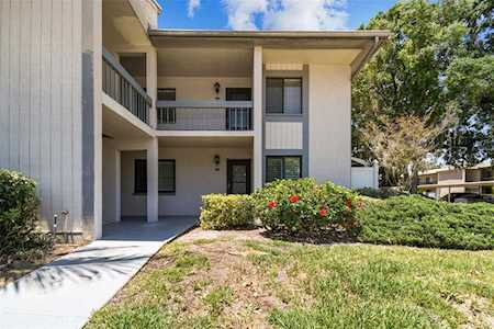 316 Martha Ln Oldsmar, FL 34677