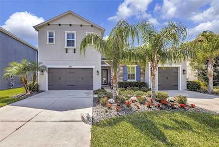 28280 Forelli Ct Wesley Chapel, FL 33543