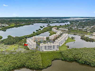 6550 Shoreline Dr #7203 St. Petersburg, FL 33708