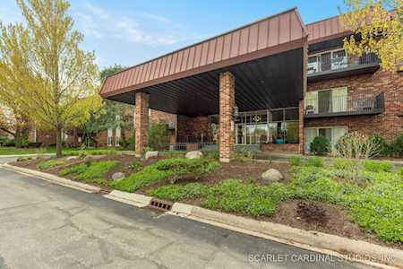 1041 W Ogden Ave #222 Naperville, IL 60563