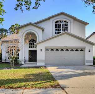 13146 Royal George Ave Odessa, FL 33556