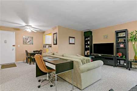 505 Central Avenue #827 White Plains, NY 10606