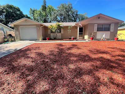 1312 Paddock Ct Tarpon Springs, FL 34689