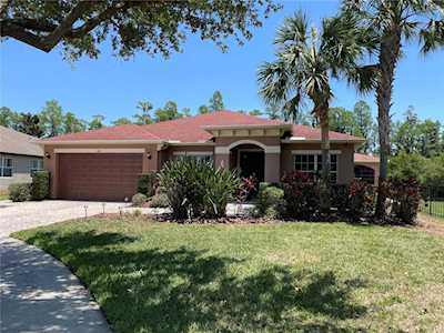 3101 Mapleridge Dr Lutz, FL 33558