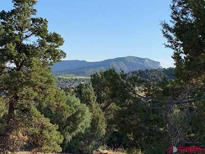 10300 Road 41.4 Mancos, CO 81328