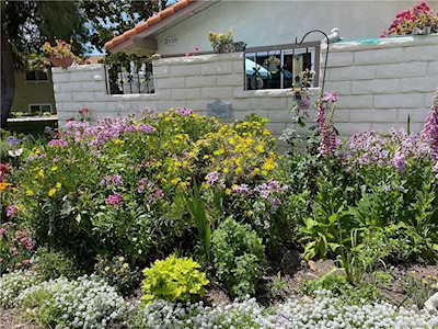 2138 Ronda Granada #C Laguna Woods, CA 92637