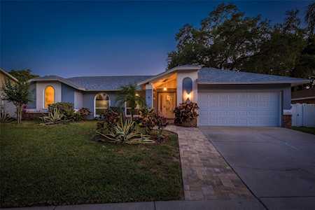 1668 Allens Ridge Dr N Palm Harbor, FL 34683