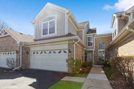 203 Foxfire Ct Downers Grove, IL 60515