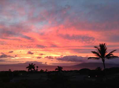 10 Wailea Ekolu Pl #1306 Kihei, HI 96753