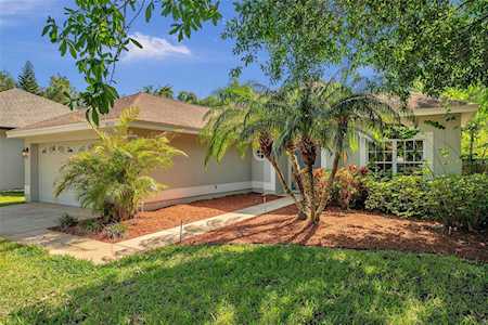 8551 Basuto Dr Trinity, FL 34655