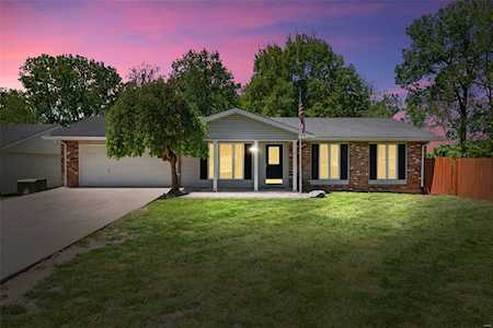 132 Plum Tree Dr St Peters, MO 63376