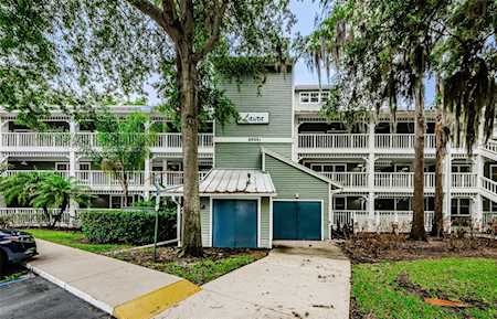 2533 Dolly Bay Dr #209 Palm Harbor, FL 34684
