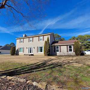 4528 SE Arrowhead Drive Decatur, AL 35603