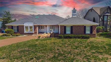 421 White Birch Valley Ct Chesterfield, MO 63017