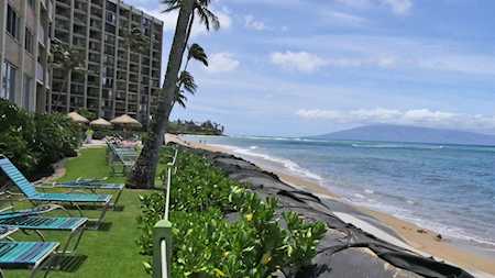 4365 Lower Honoapiilani Rd #101 Lahaina, HI 96761