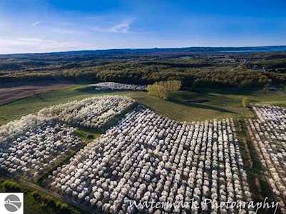 9916 E Valley Hills Drive Traverse City, MI 49684