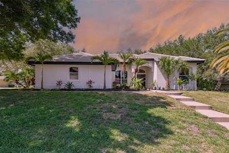 217 Highland Woods Dr Safety Harbor, FL 34695