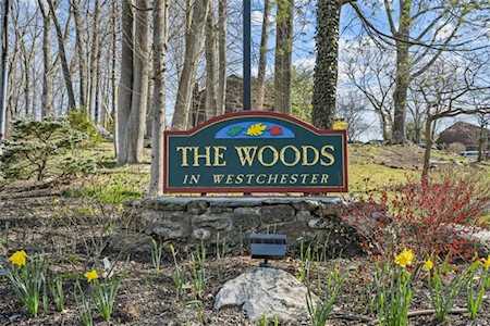 75 Woods Brooke Circle Ossining, NY 10562