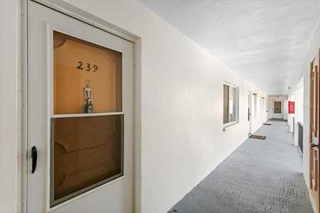 2060 Marilyn St #239 Clearwater, FL 33765