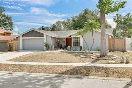 3921 Orchard Hill CIRCLE Palm Harbor, FL 34684