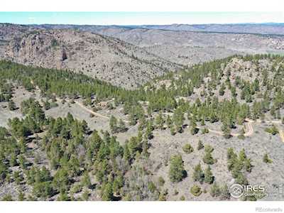 442 Thiem Dr Livermore, CO 80536