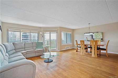 100 High Point Drive #513 Hartsdale, NY 10530