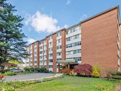 22 Chestnut Place #217 Brookline, MA 02445
