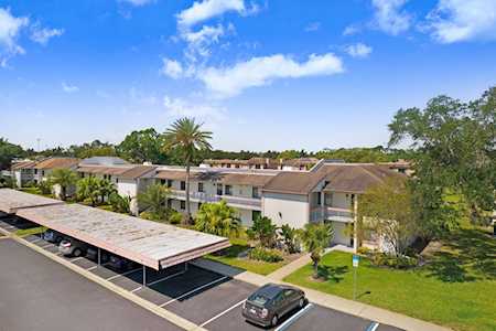 108 Lakeview WAY #5 Oldsmar, FL 34677