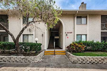 2085 Hunters Glen Dr #228 Dunedin, FL 34698