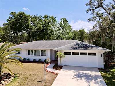 174 Sunward Ave Palm Harbor, FL 34684