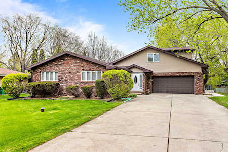 16431 Leslie Ann Dr Tinley Park, IL 60477
