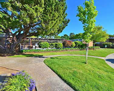 1919 Ygnacio Valley Road Walnut Creek, CA 94598