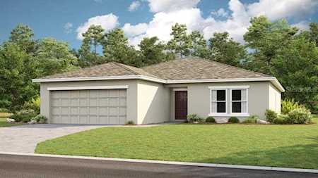33981 Sky Blossom CIRCLE Leesburg, FL 34788