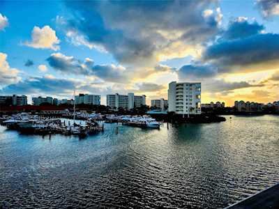 7600 Sun Island Dr S #305 South Pasadena, FL 33707