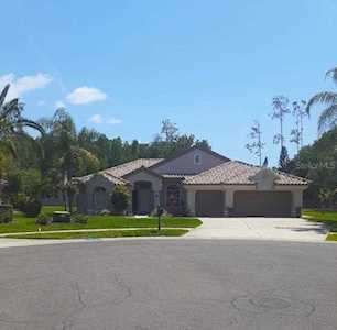 1612 Chatam Ct Oldsmar, FL 34677