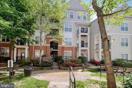 11395 Aristotle Dr Fairfax, VA 22030