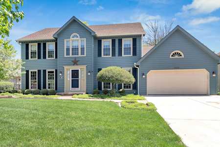 420 Apple River Dr Naperville, IL 60565