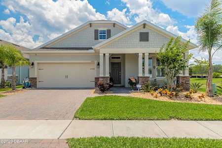 3003 Borassus Drive New Smyrna Beach, FL 32168