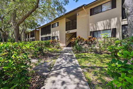 3223 Fox Chase CIRCLE N #208 Palm Harbor, FL 34683
