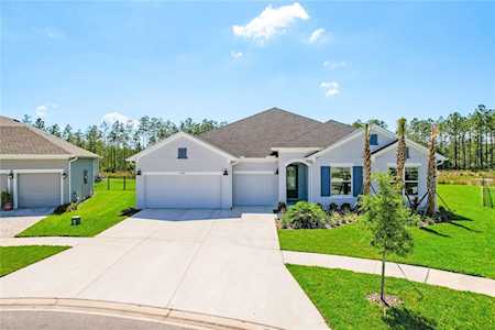 16160 November Rain Ct Land O Lakes, FL 34638