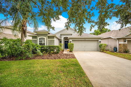 7054 Moss Ledge RUN Land O Lakes, FL 34637