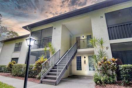 3301 Crystal Ct E #M Palm Harbor, FL 34685