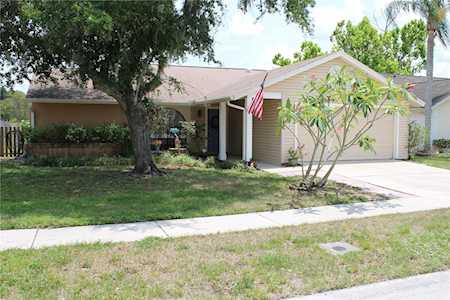 1732 Pintail Ct Lutz, FL 33549