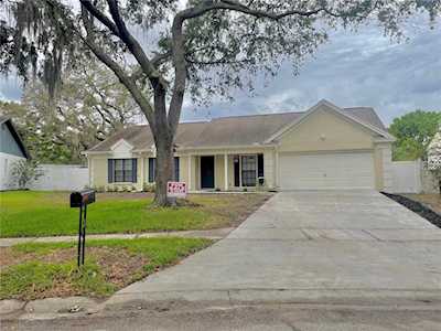 1323 Peachfield Dr Valrico, FL 33596