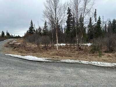 28073 Not So Far St Anchor Point, AK 99556