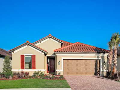 10793 Calluna Dr Odessa, FL 33556